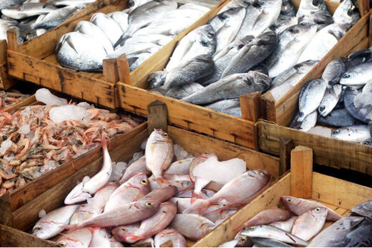 قیمت ماهی قزل‌آلا در آستانه شب عید اعلام شد