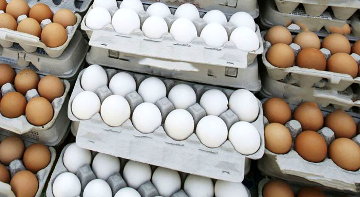 چرا نرخ مصوب برای تخم‌مرغ اعلام نمی‌شود ؟ | ضرر ۸۰۰ میلیونی بازار تخم‌مرغ